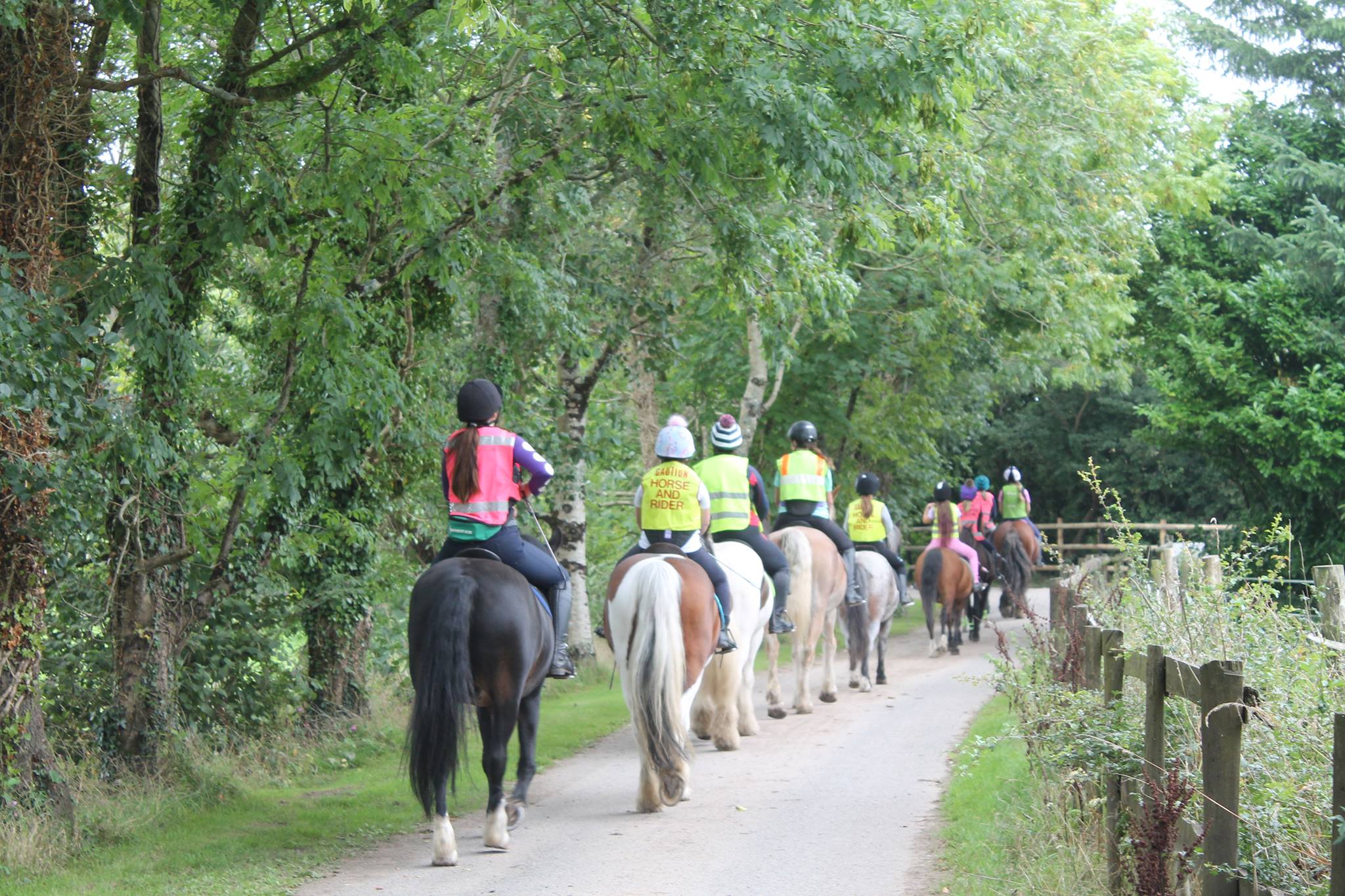 Barguse Riding Centre